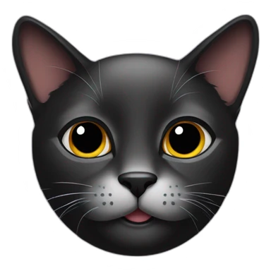 A profile photo of a black cat sticker