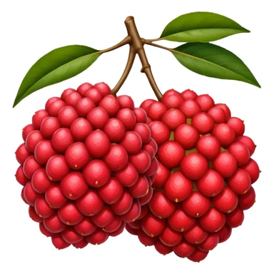 a pair of litchi fruit sticker