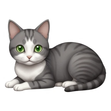 full body tiny short hair dark grey and white cat with white front legs and green  eyes lying down sticker