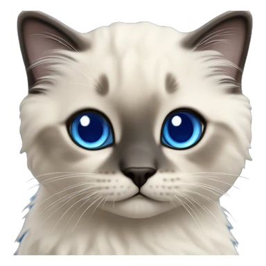 Seal colorpoint ragdoll kitten with royal blue eyes sticker