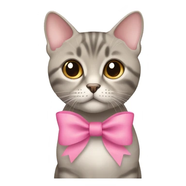 British short hair beige and grey with a pink bow sticker