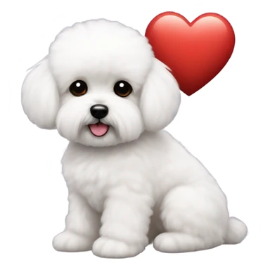 Maltese Bichon with a red heart sticker