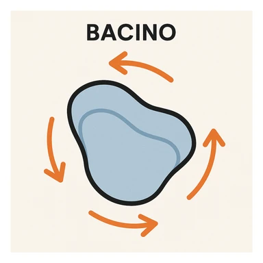 Bacino ruotato in senso orario sticker