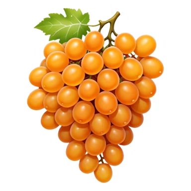 orange grapes sticker