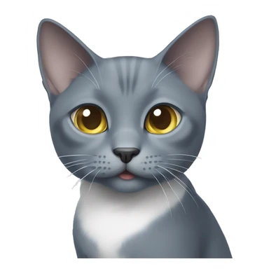 Russian blue cat with white chest and white paws asking for food sticker