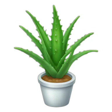 Aloe vera sticker