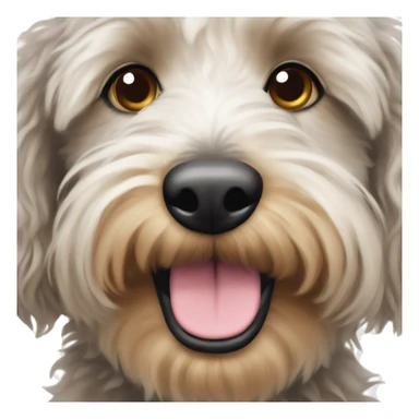 Aussidoodle face sticker