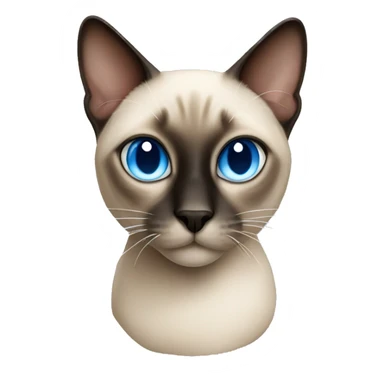 Siamese cat with blue eyes sticker