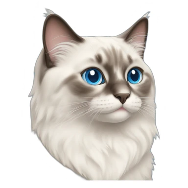 Ragdoll cat with blue eyes sticker