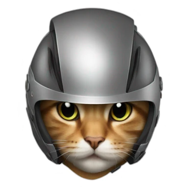 A Cat with a Vega Helmet sticker