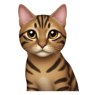 Beautiful woman long darkhair hug bengal cat sticker