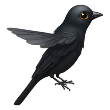 Black bird FLY sticker