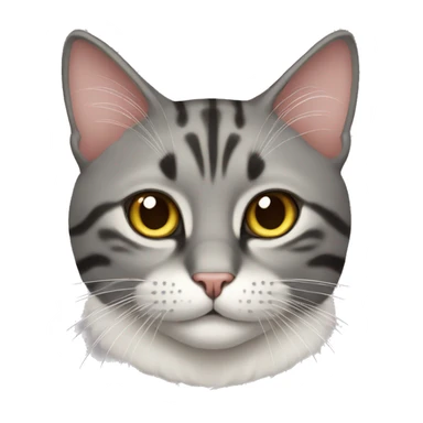 cat cat sticker