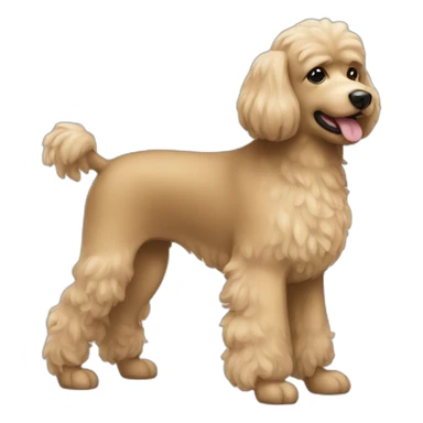 caniche toy sticker