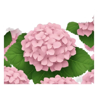 light pink hydrangea  sticker