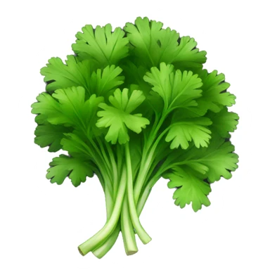 cilantro with black background sticker