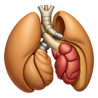 male genital organ sticker