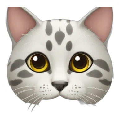 brazilian cat sticker