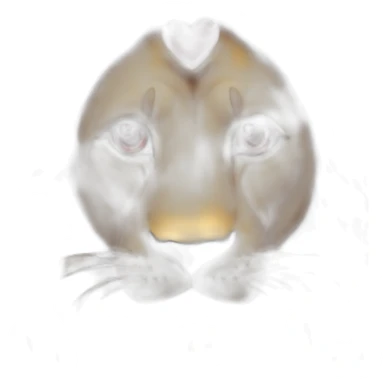 Lion face with huge red hearts in his eyes, he looks so much in love sticker