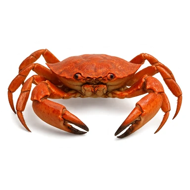 Crab sticker