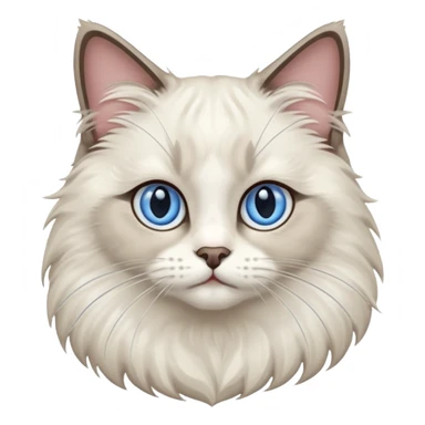 Ragdoll cat sticker