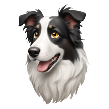 Merle border collie sticker