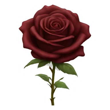 Realistic dark red rose  sticker