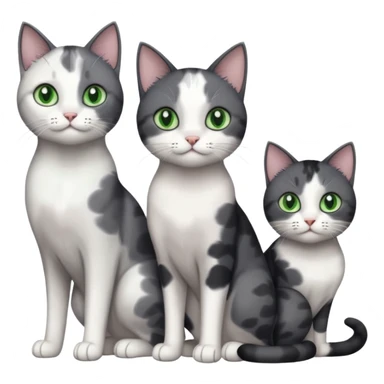 3 different coloured small cats including a dark grey and white, and a patchy calico and a completely solid dark grey with green eyes and only white paws sticker