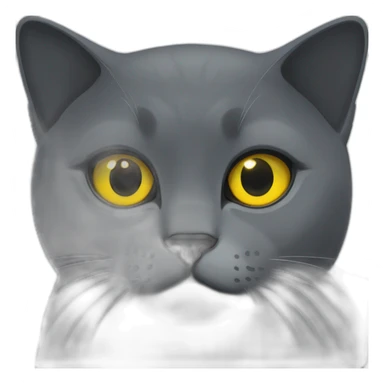 british shorthair cat in the Color dark black smoke with yellow eyes sticker