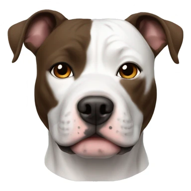 American Staffordshire Terrier, male, black & white, brown eyes sticker