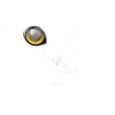 american Shorthair cat sticker