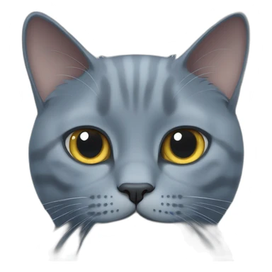British blue cat sticker