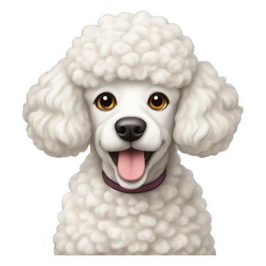 White French poodle mixed with a sheep sticker