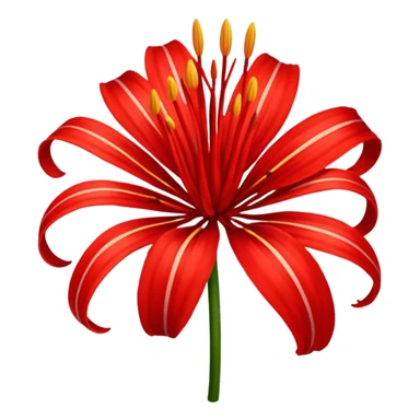 Uma flor de Lycoris radiata sticker