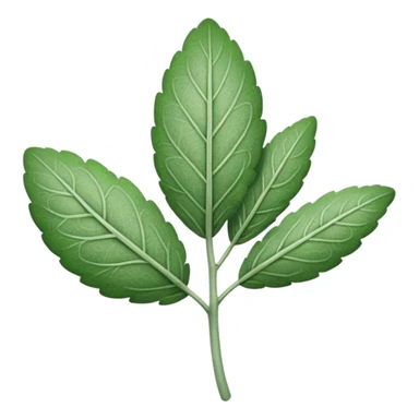 A single sage leaf sticker