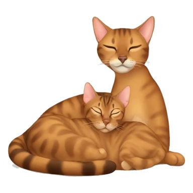 Abyssinian and Bengal cat sleeping  sticker