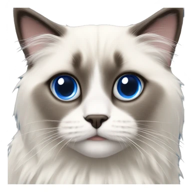 Ragdoll with blue eyes in christmas sweater sticker
