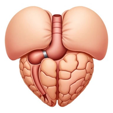 hernia, simple medical illustration sticker