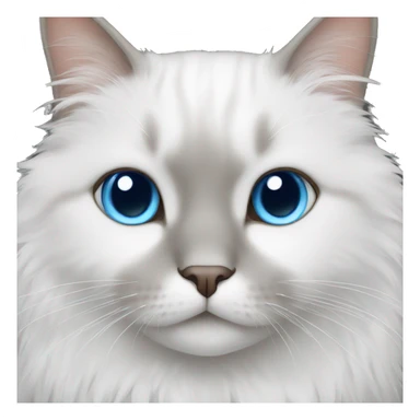 White fluffy cat with one brown eye and one blue eye sticker