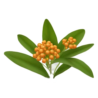 milkweed orange sticker