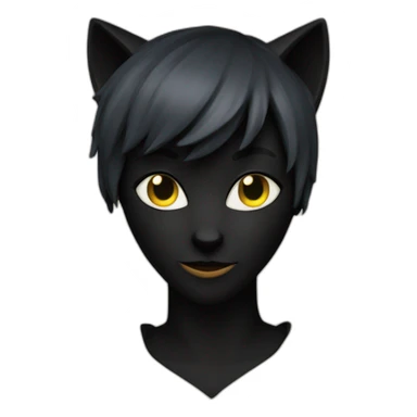 Cat Noir Miraculous sticker