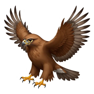 Hawk getting cat sticker