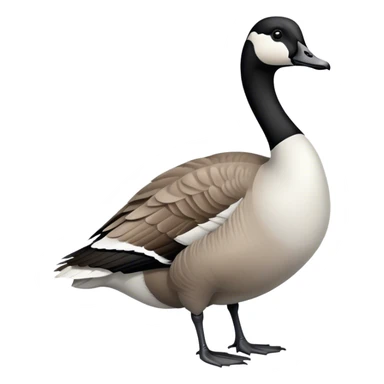 Canadian Goose sticker