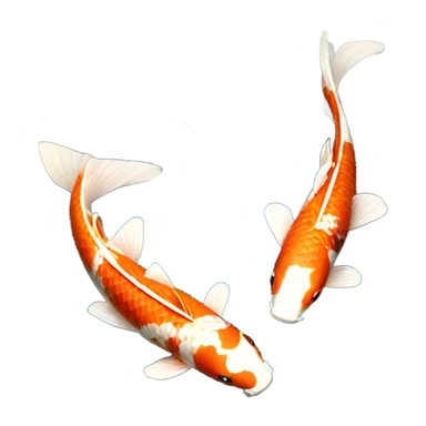 koi pond sticker