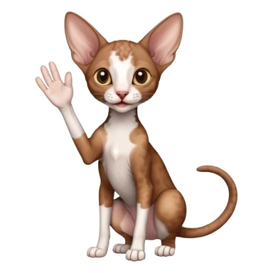 brown colored cornish rex cat waving sticker
