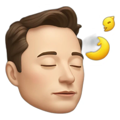 Elon Musk sleep sticker