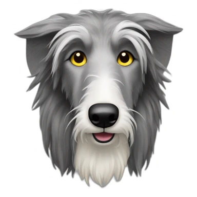 Scottish deerhound with yellow fur, black eyes, white nose sticker