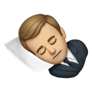 Emmanuel macron sleeping sticker