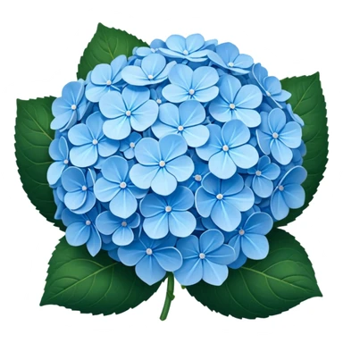 Blue hydrangeas sticker