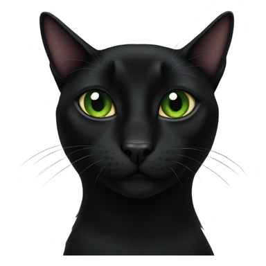 Black Bombay cat with green eyes sticker